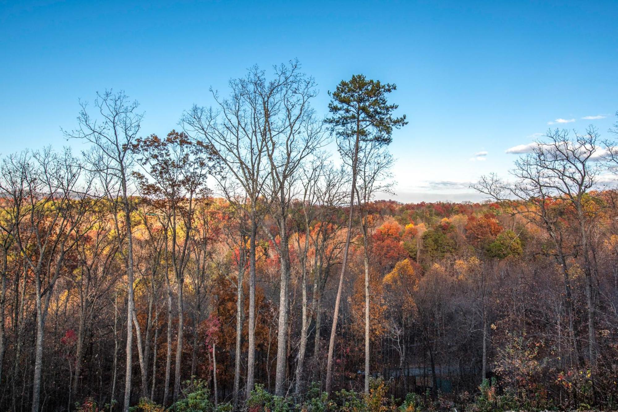 The Treetop Sanctuary Villa เซอเวียร์วีล ภายนอก รูปภาพ